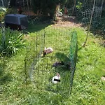 Evasion Bed & Breakfast