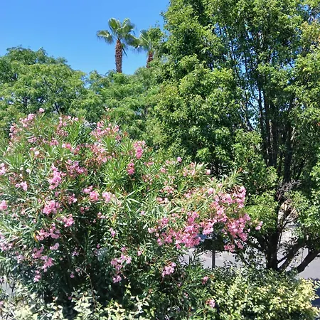 Bed & Breakfast Evasion Lattes