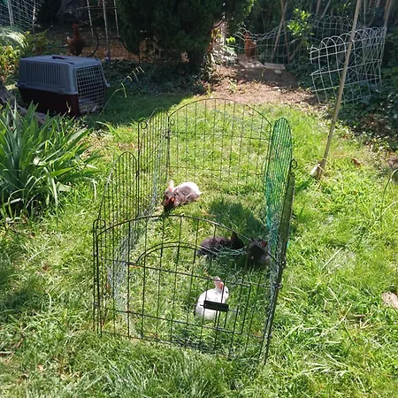 Evasion Bed & Breakfast