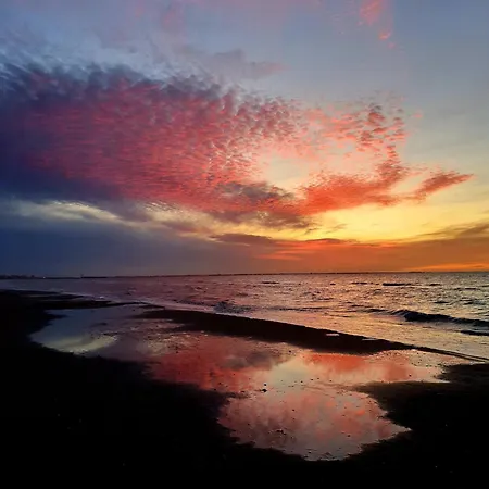 Bed & Breakfast Evasion Lattes